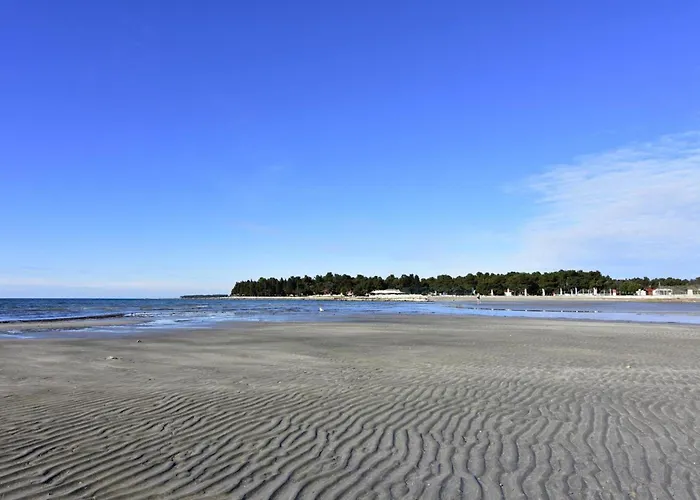 Apartment Quiet With Terrace *