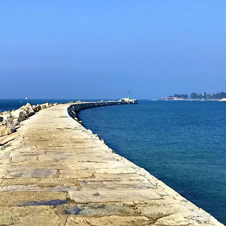 Quiet With Terrace *